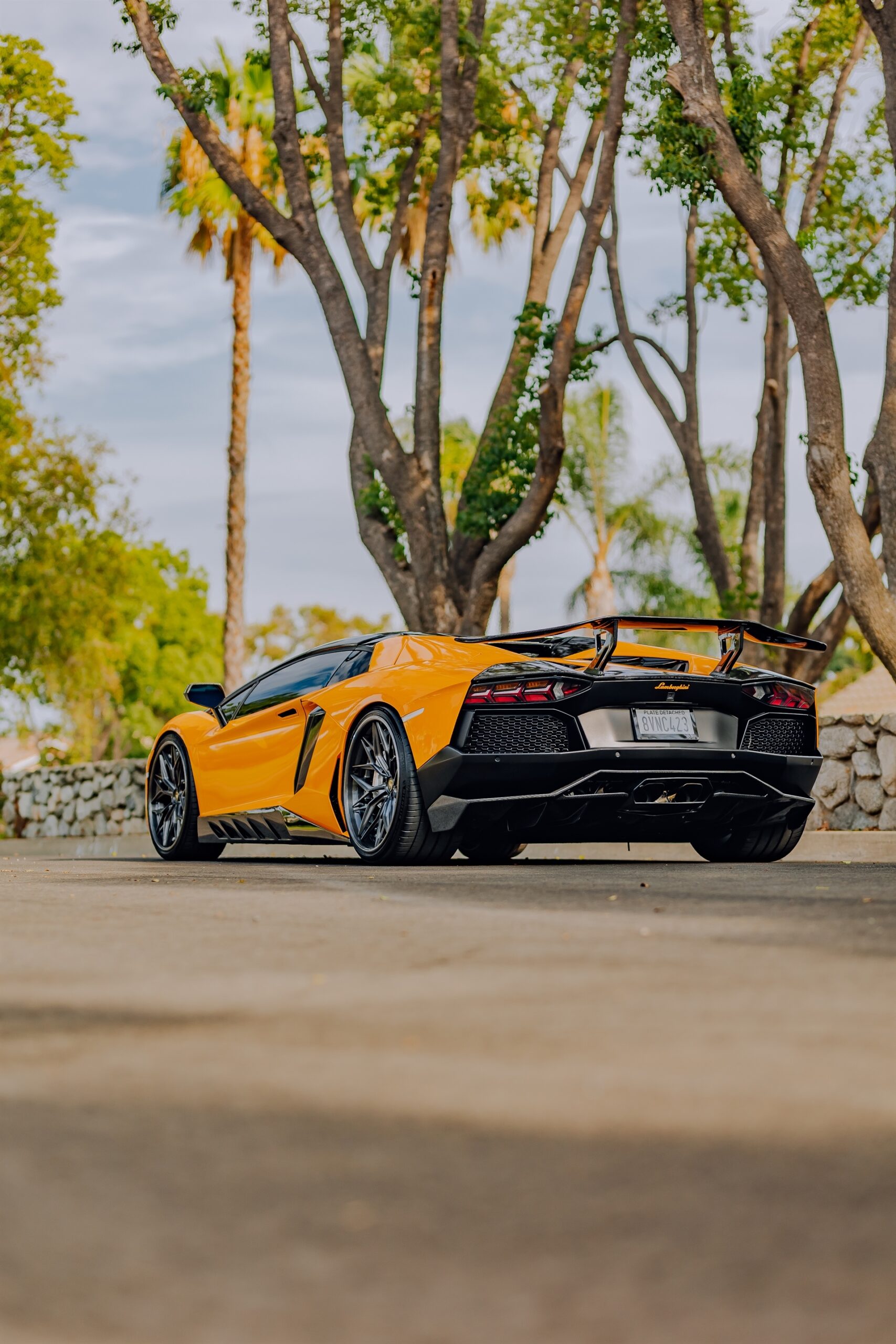 AL13 R80 | Lamborghini Aventador 1