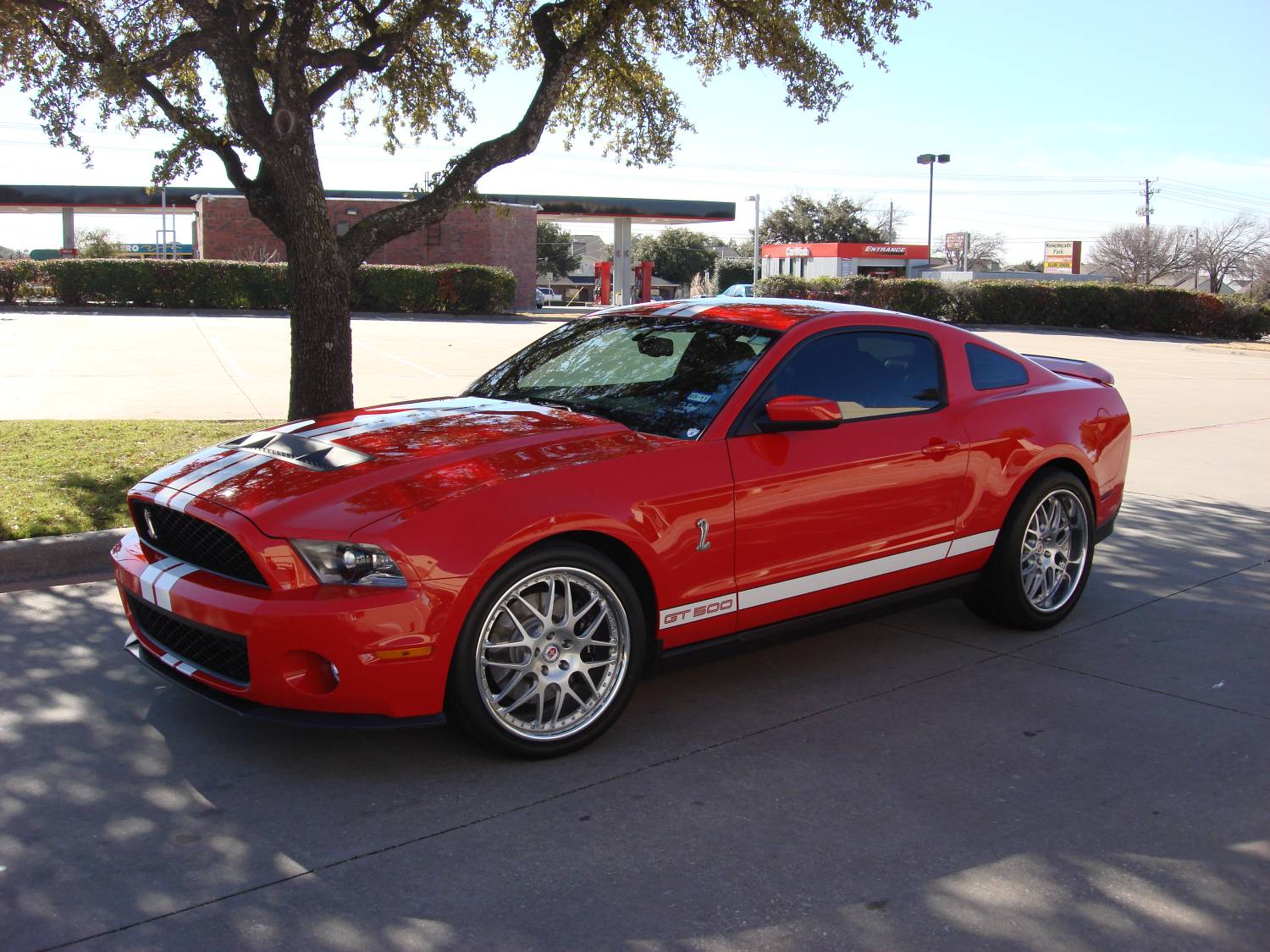 HRE 590R | Shelby GT500