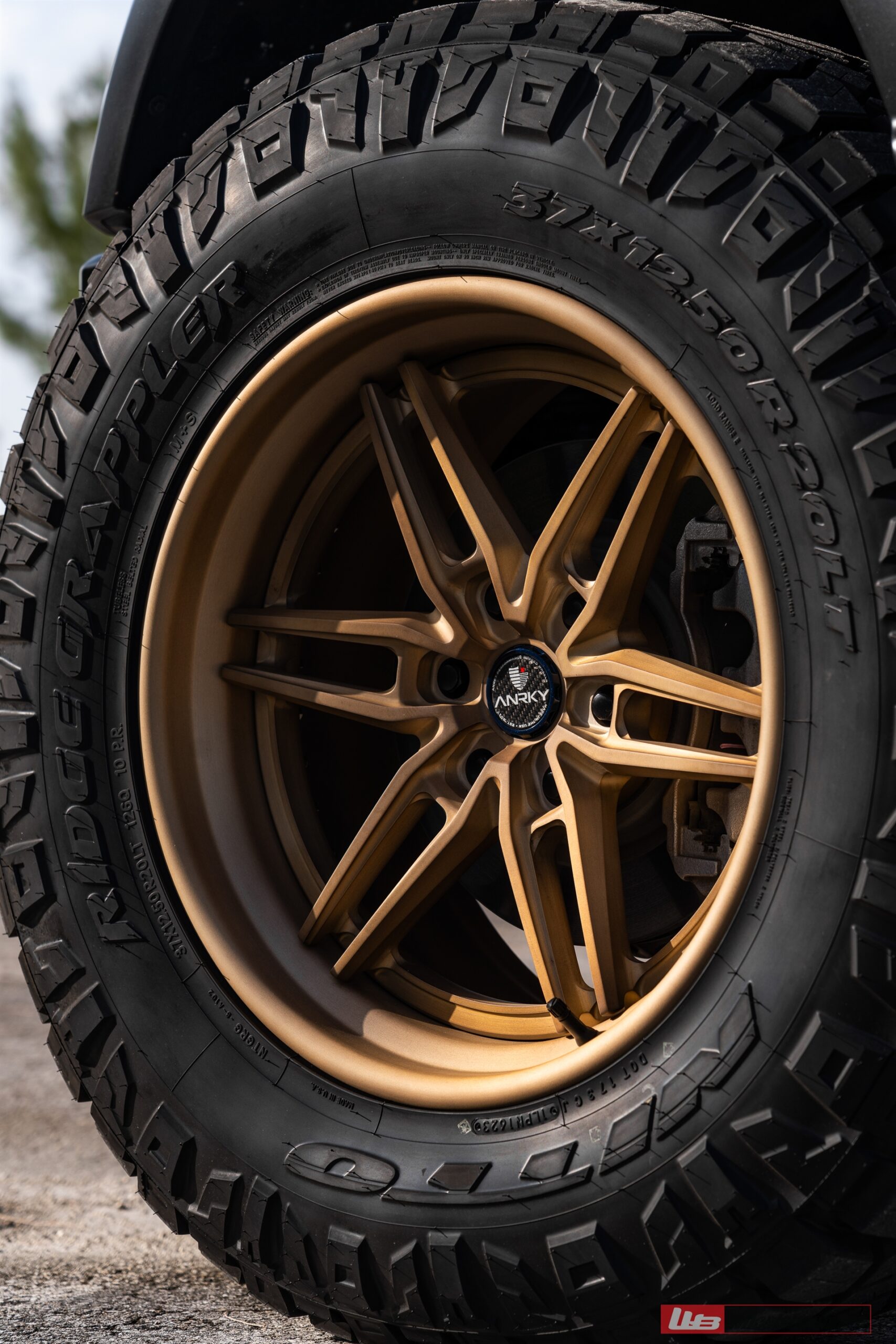 ANRKY AN36-O | Ford Raptor R