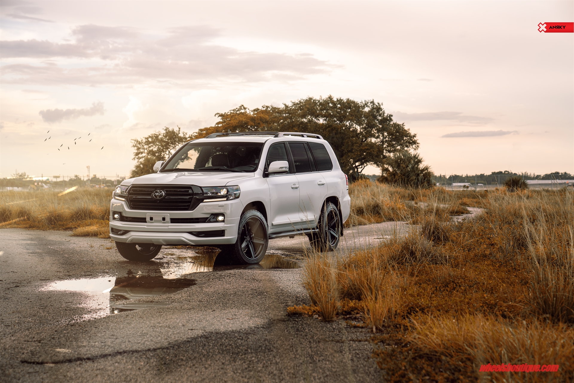 ANRKY AN35 | Toyota Land Cruiser