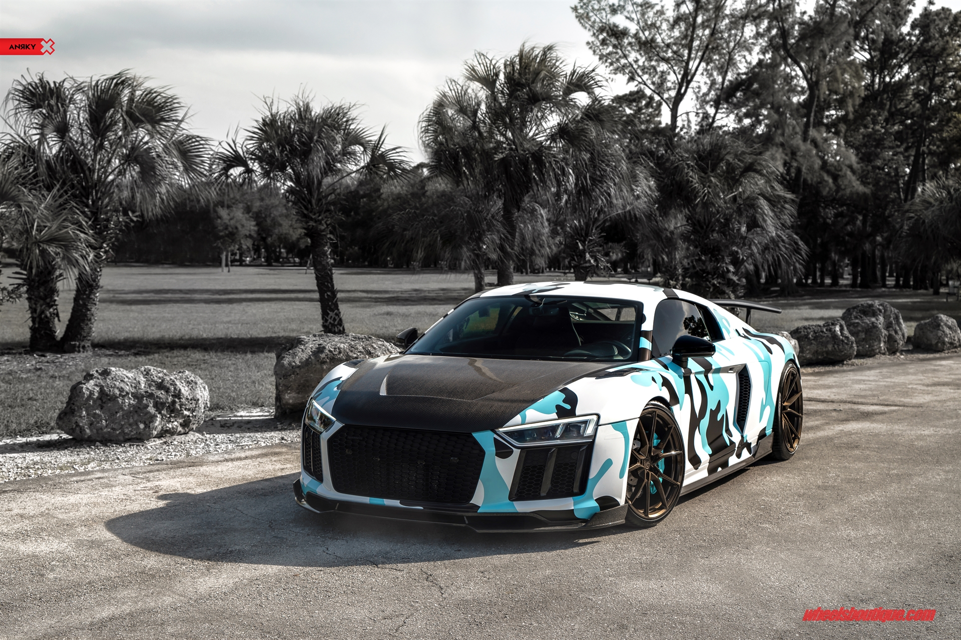ANRKY AN12 | Audi R8
