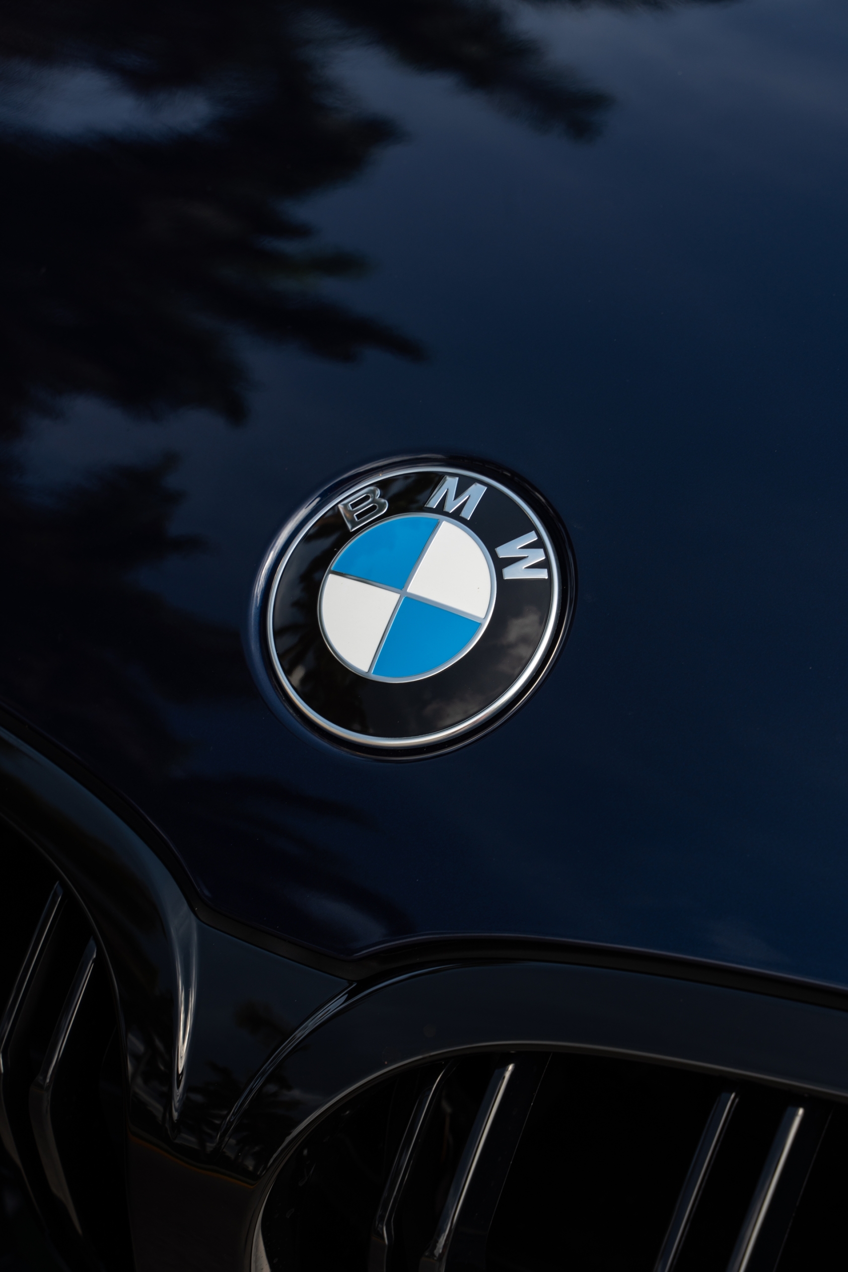 BMW M8 | Midnight Blue | on HRE 309M | Gloss Silver