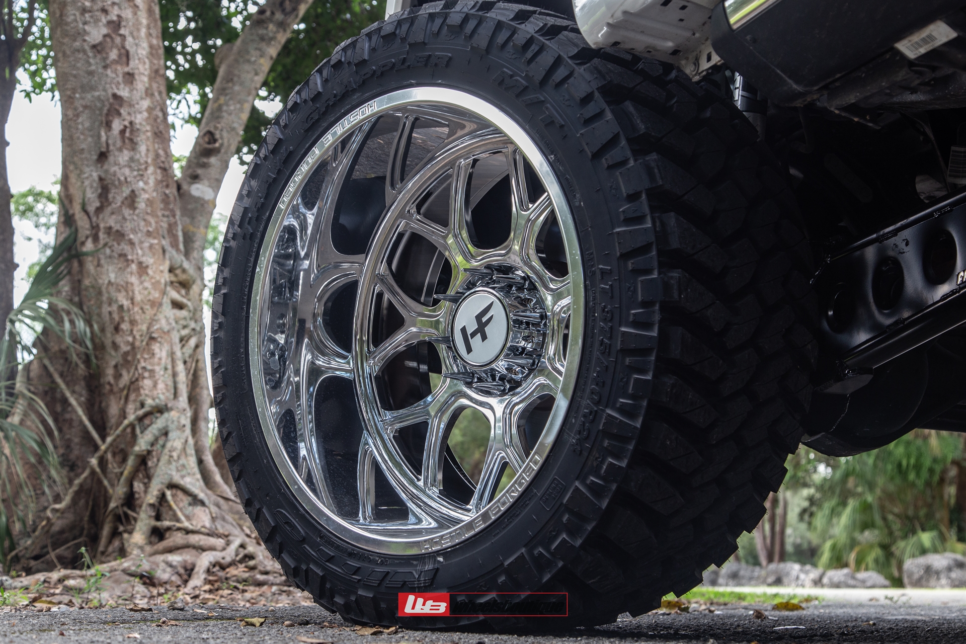 FORD F-250 ON HOSTILE HF04 PUNISHER