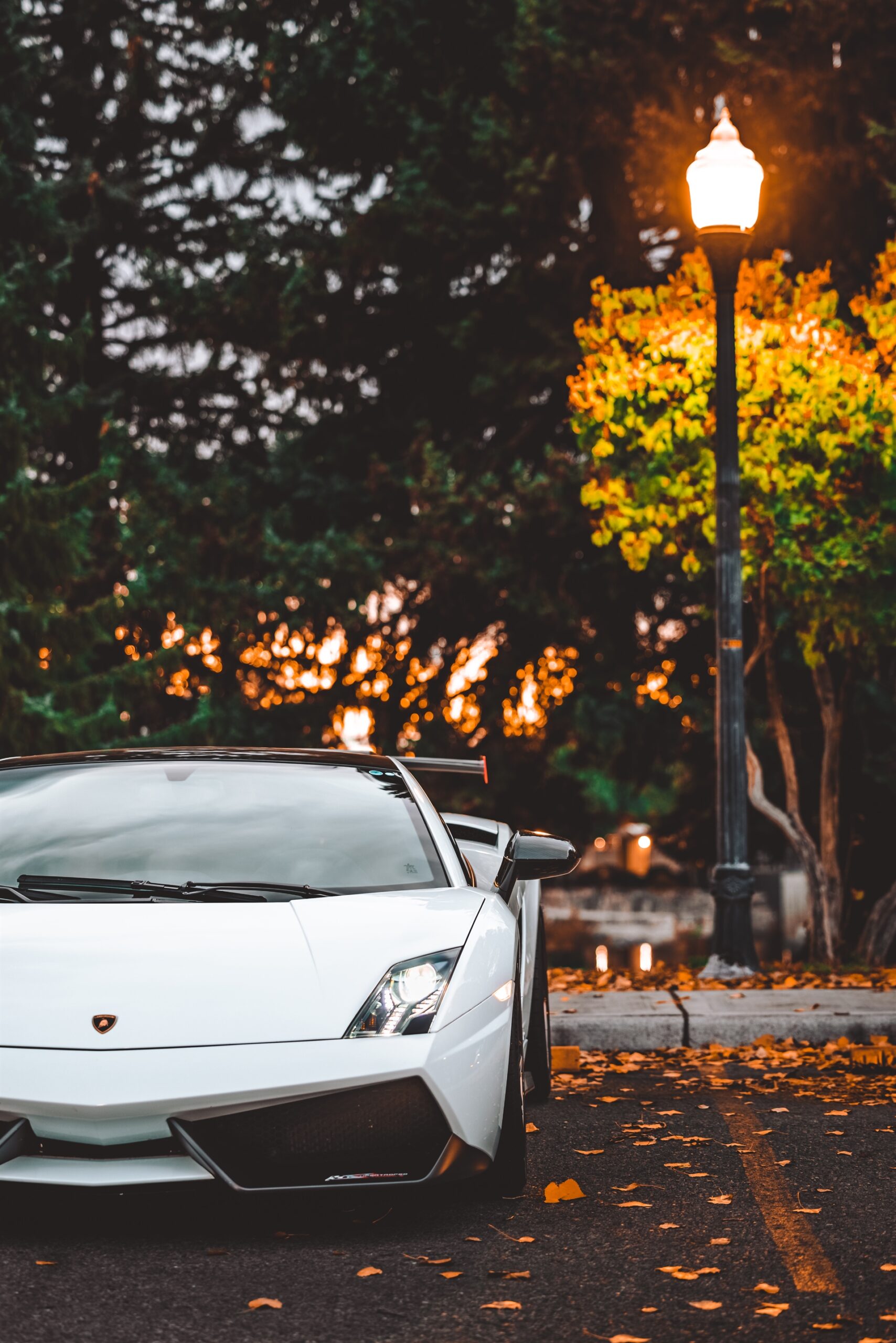 ANRKY S3-X1 | Lamborghini Gallardo LP 570-4 Super Trofeo Stradale