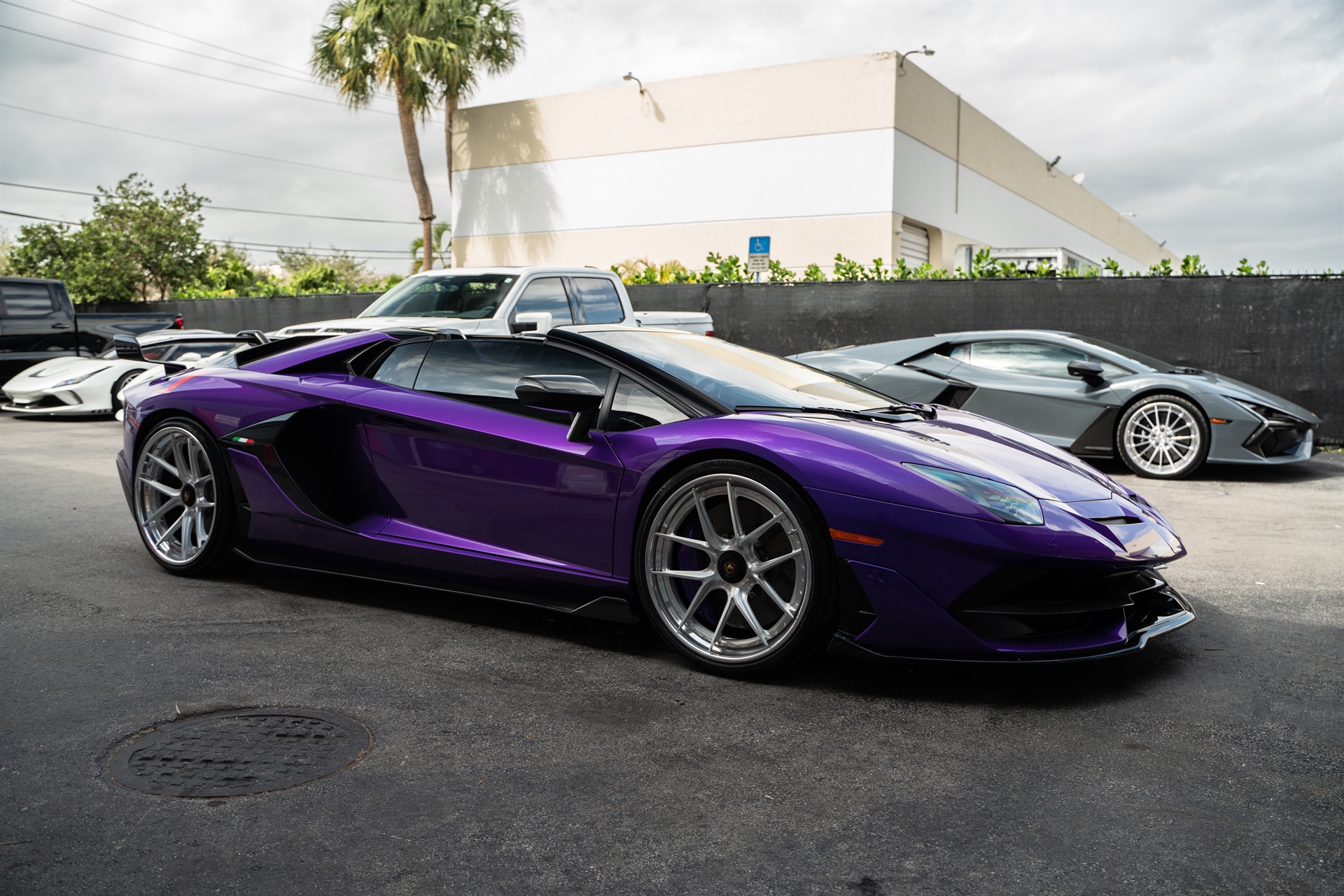 Lamborghini Aventador SVJ Roadster | Viola Parsafe | on ANRKY XR-301 | Brushed Clear