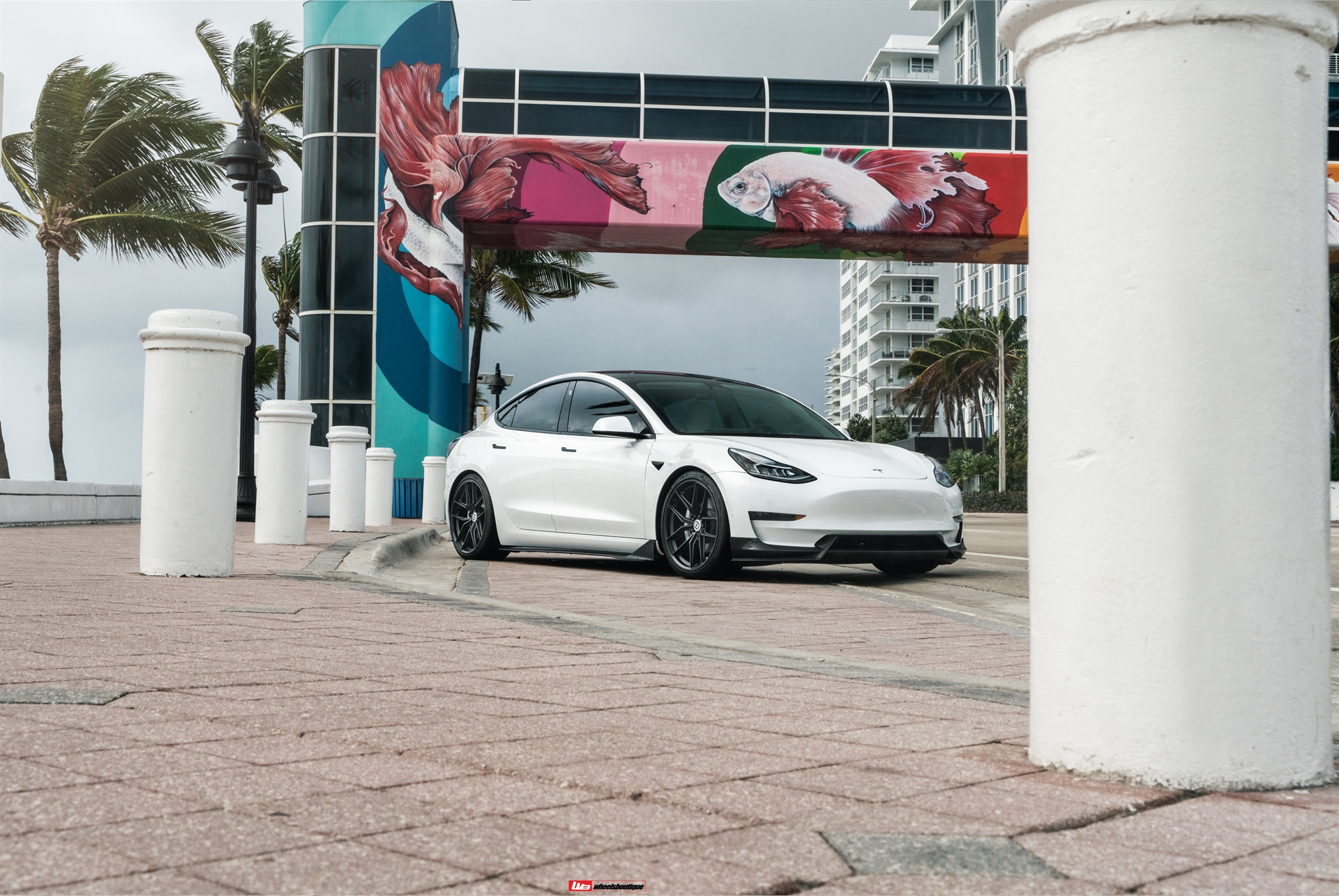 HRE FF21 | Tesla Model 3