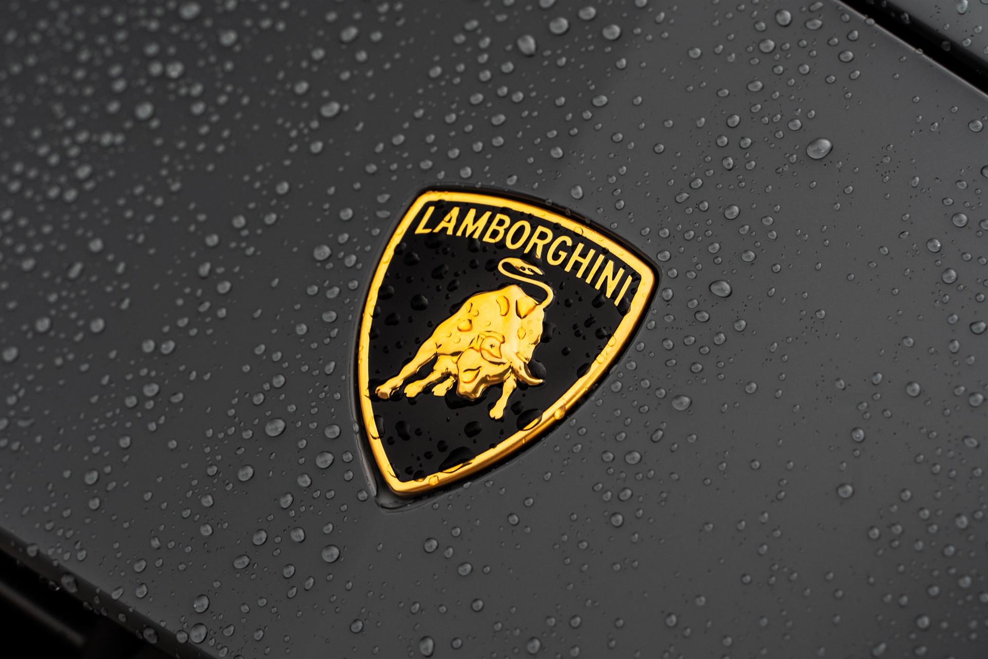 Lamborghini Urus Performante | Grigio Telesto Matt | on 1886 S009 | Satin Black