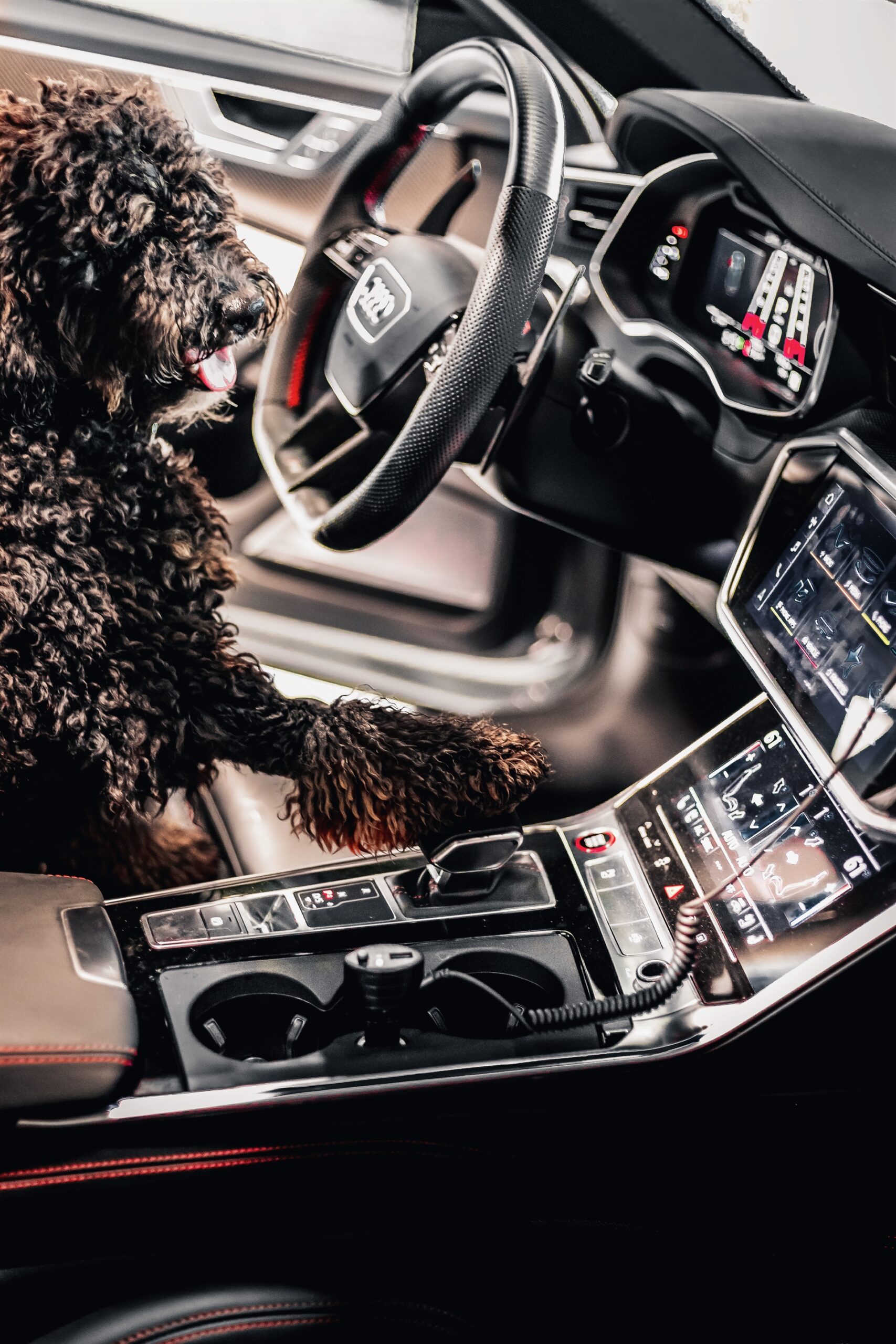 HRE S107SC | Audi RS6 Avant