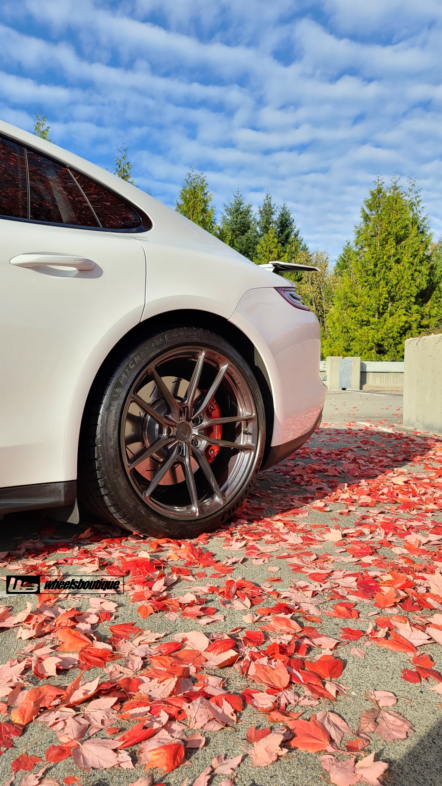 PORSCHE 971 PANAMERA TURBO ON ANRKY AN14