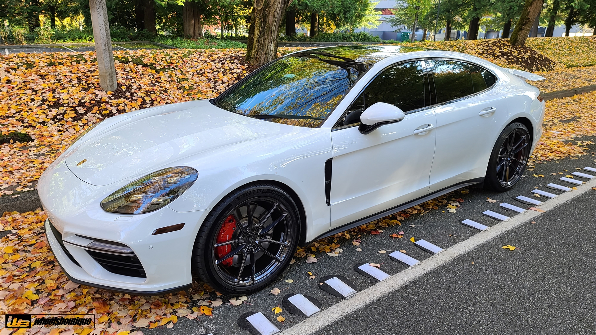 PORSCHE 971 PANAMERA TURBO ON ANRKY AN14