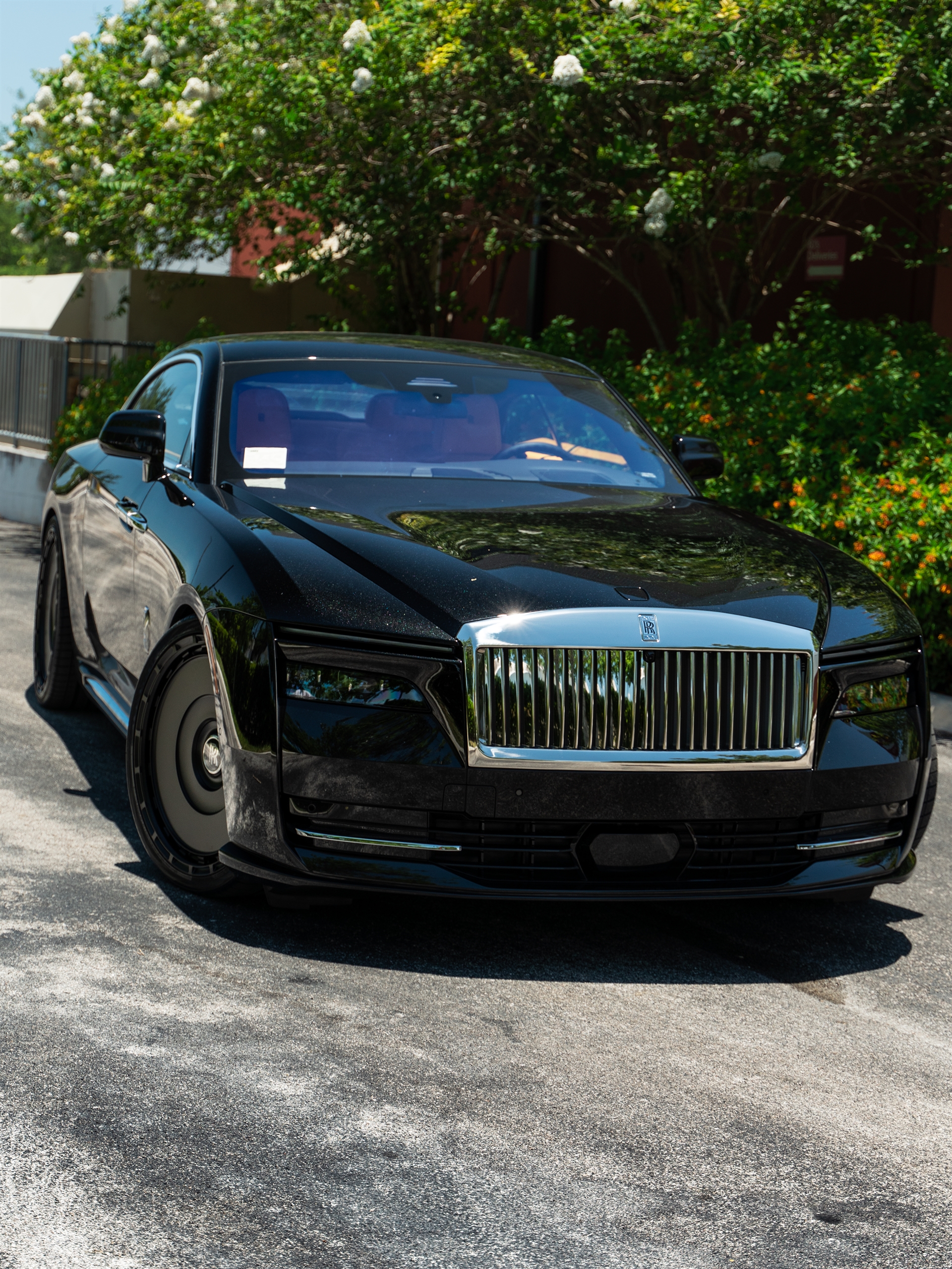 Rolls Royce Spectre | Crystal Over Black | on Novitec SP3 | Satin Black