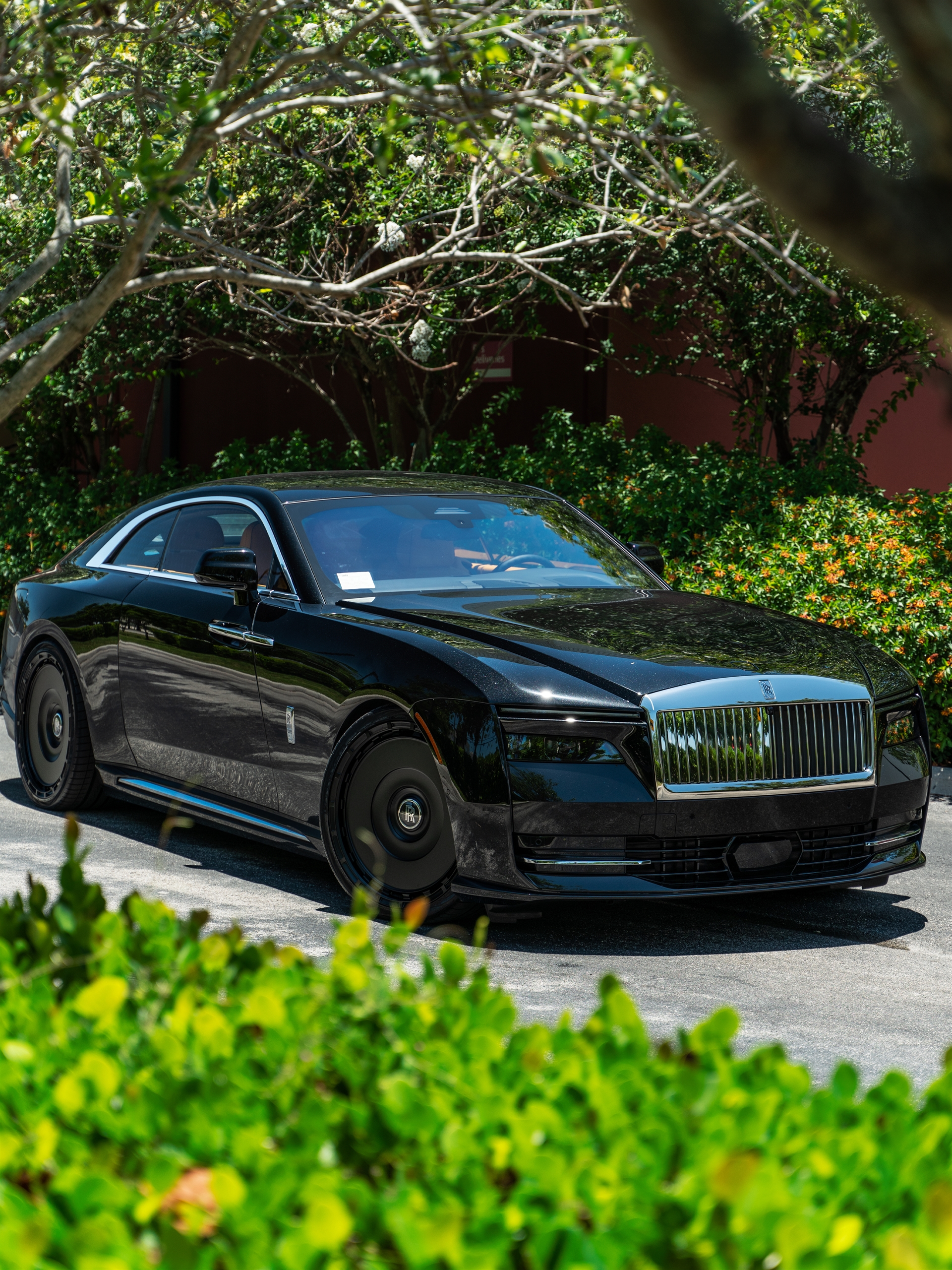 Rolls Royce Spectre | Crystal Over Black | on Novitec SP3 | Satin Black