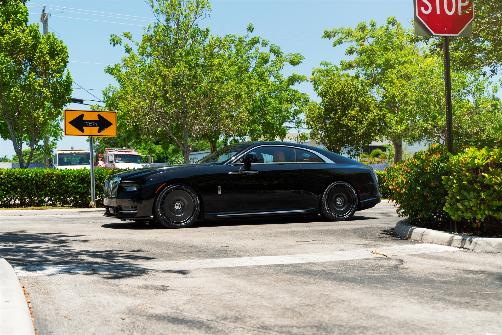 Rolls Royce Spectre | Crystal Over Black | on Novitec SP3 | Satin Black