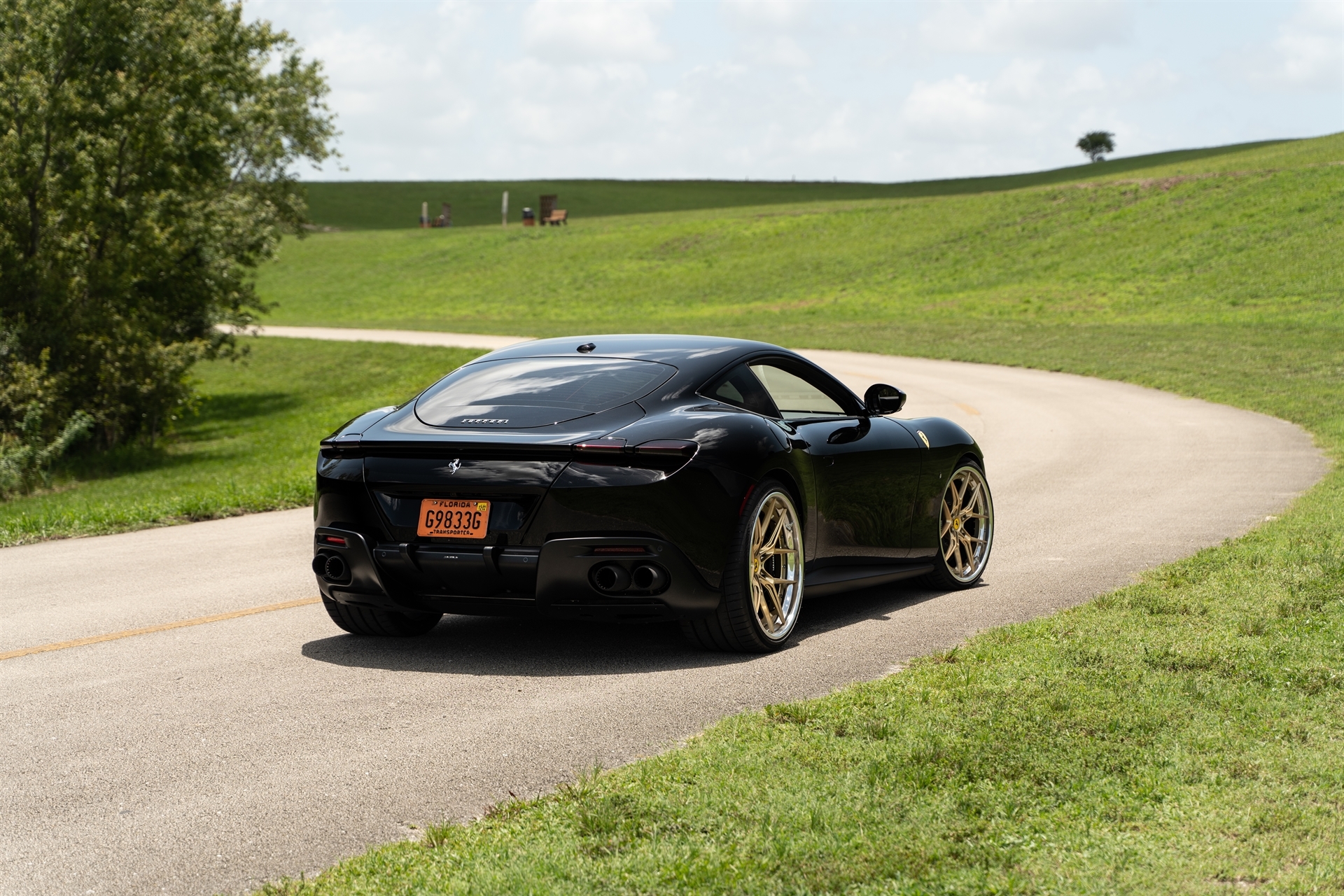 AL13 R60 | Ferrari Roma