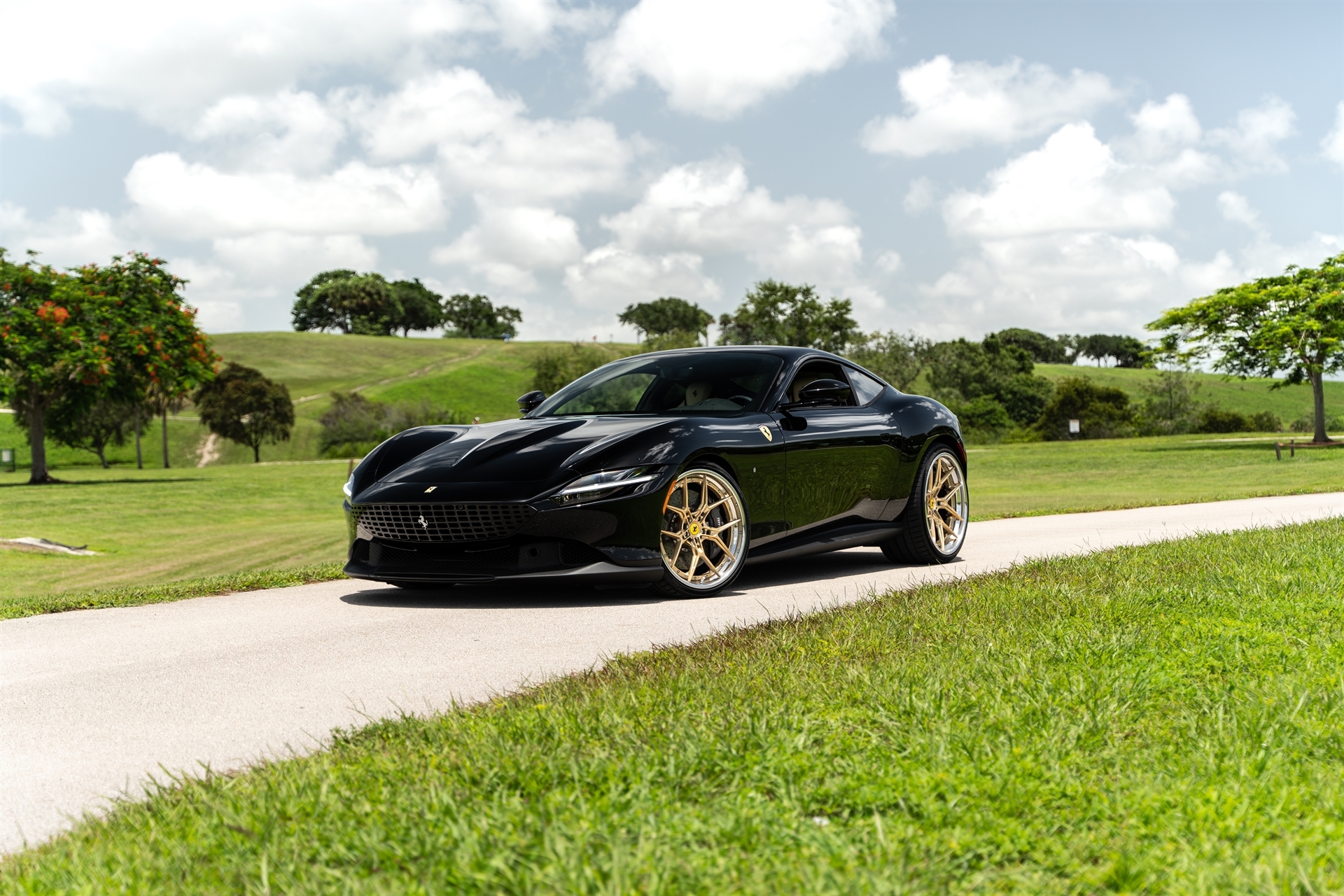 AL13 R60 | Ferrari Roma