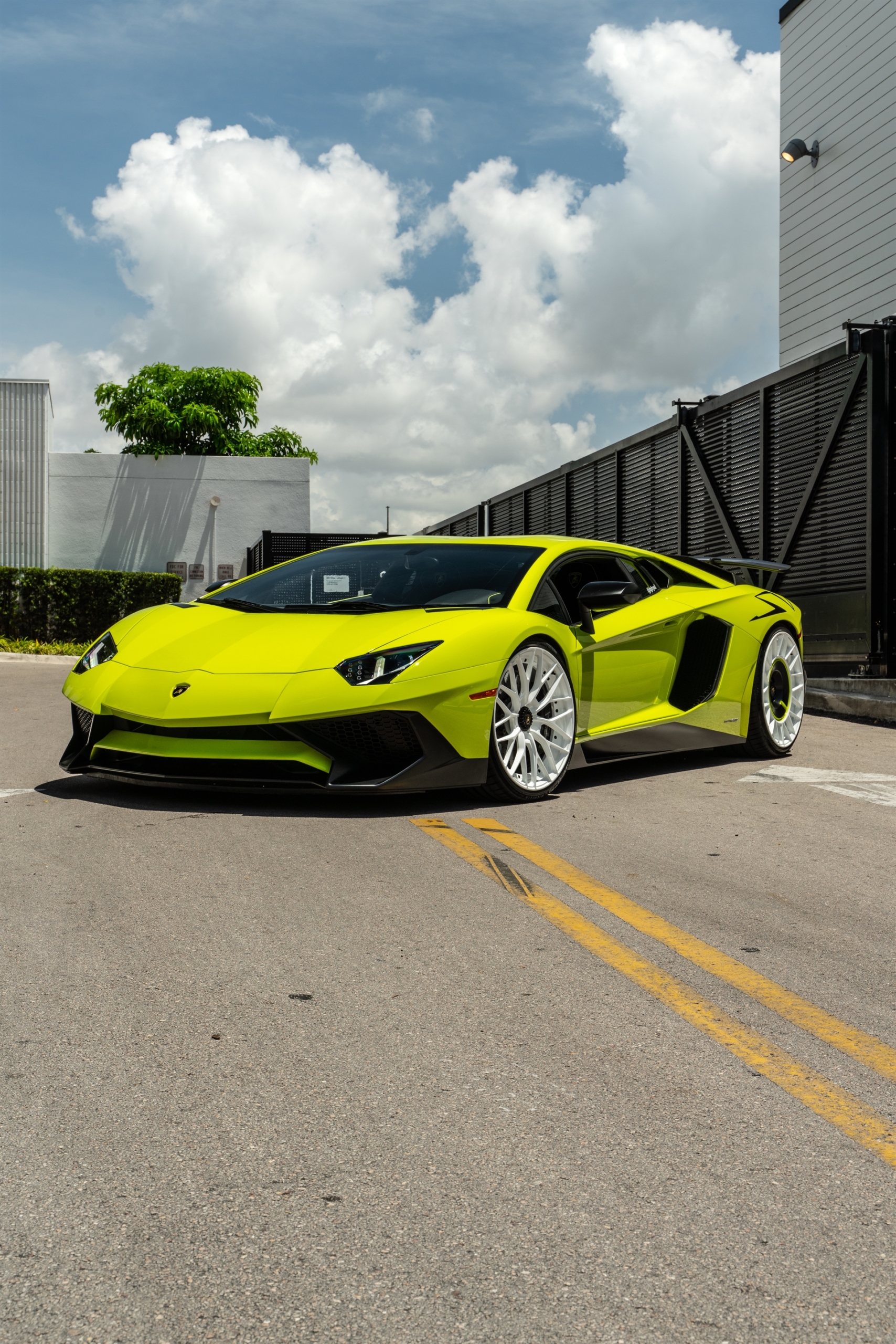 Lamborghini Aventador SV | Verde Scandal | on ANRKY AN20 + AN20 AEROSport | Gloss White