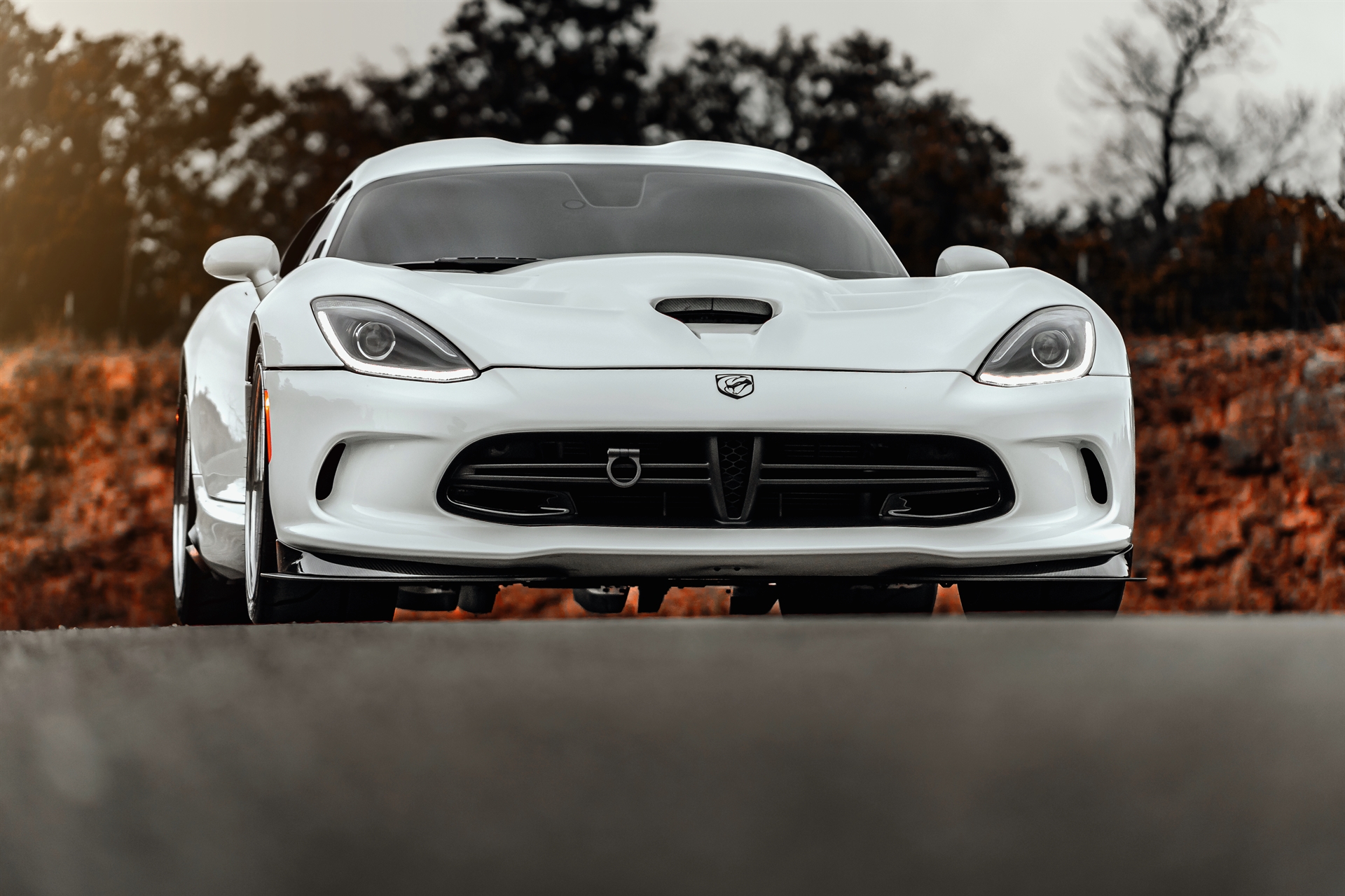 AL13 C007R | Dodge Viper