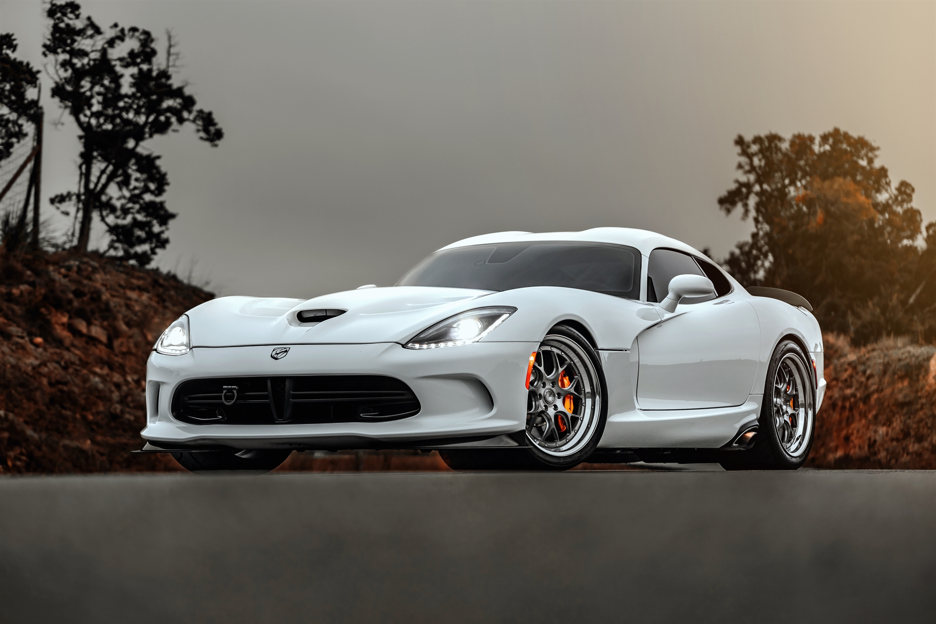 AL13 C007R | Dodge Viper