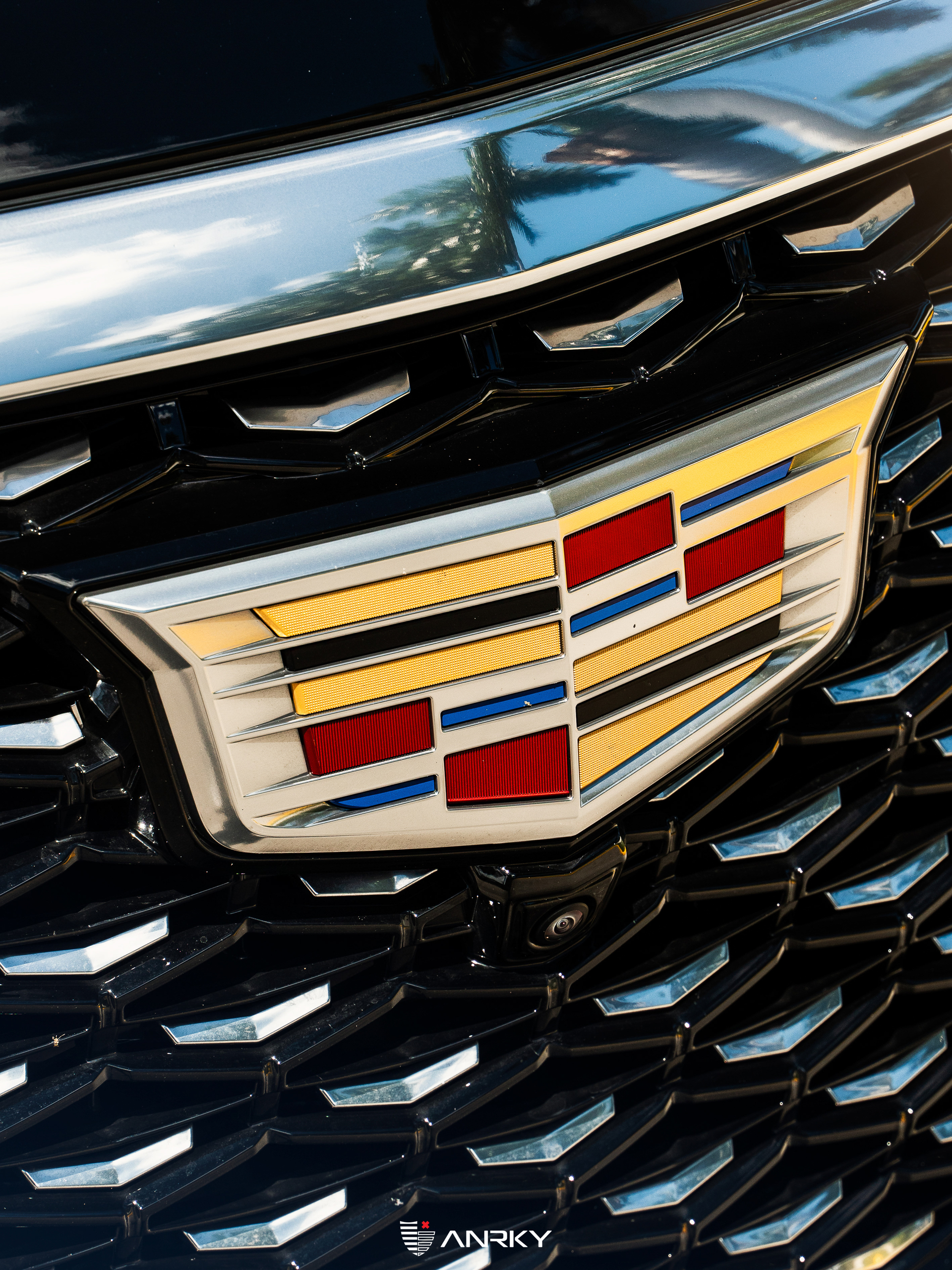 Cadillac Escalade | Black Raven | on ANRKY RF-182 | Brushed Face + Mirror Polished Windows