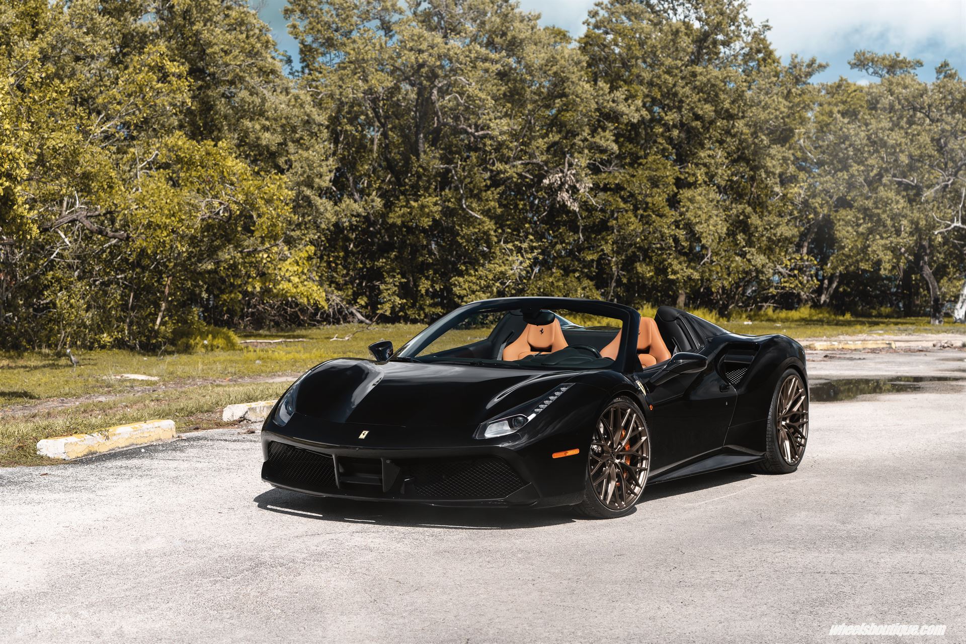 Ferrari 488 Spider | Nero | on ANRKY AN10 | Satin Bronze
