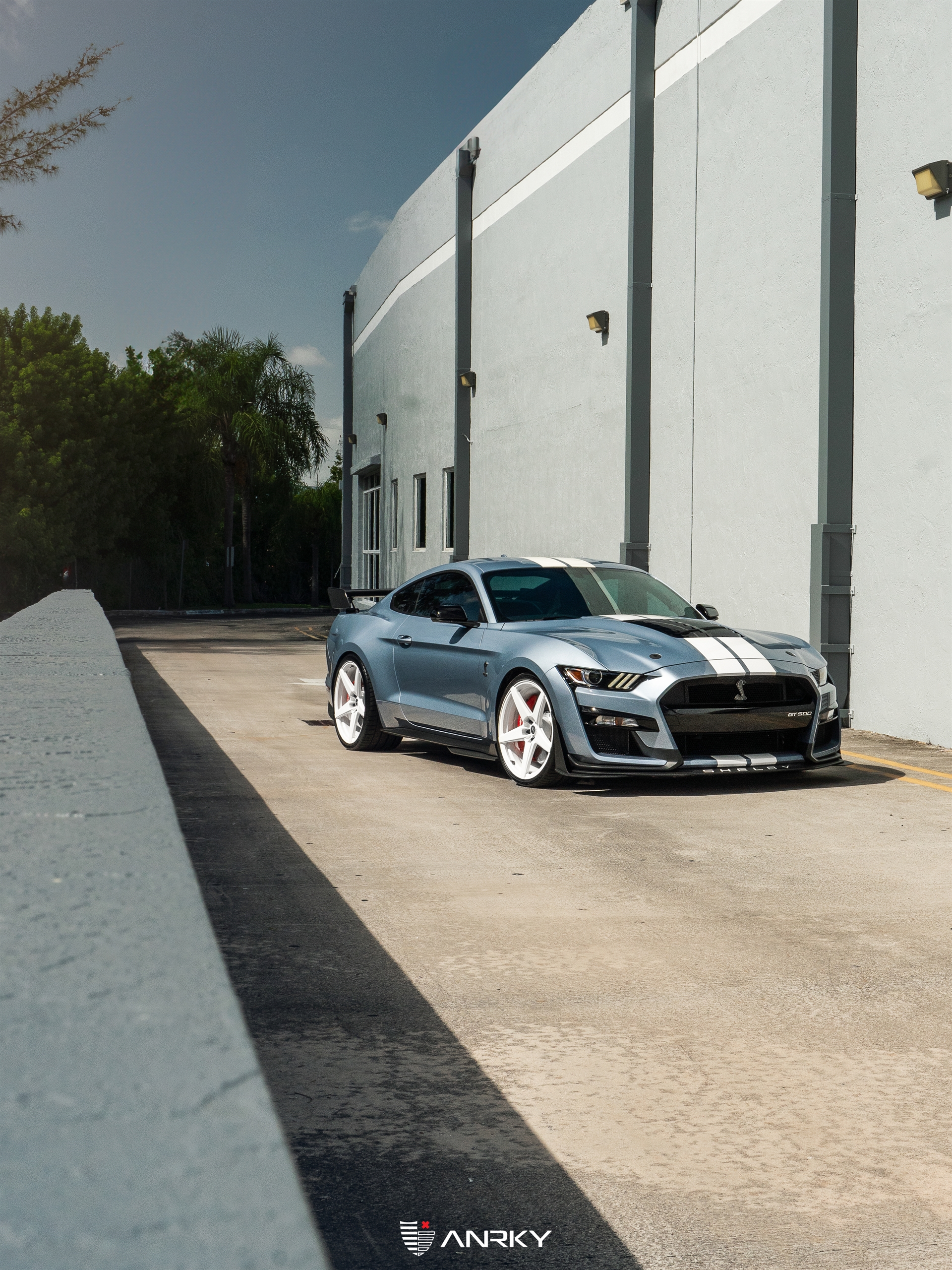 Ford Shelby GT500 – RETROSeries RS5.1