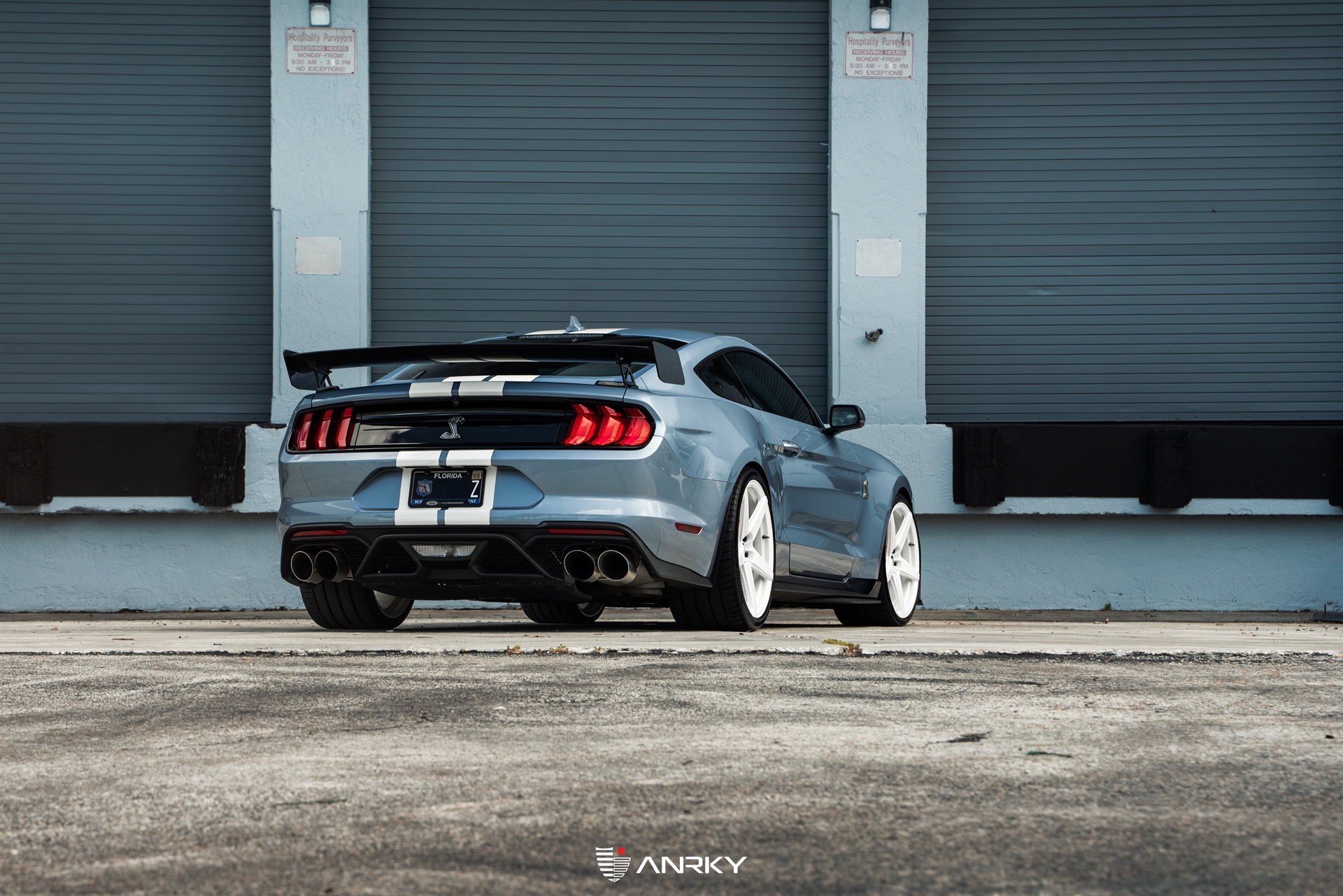 Ford Shelby GT500 – RETROSeries RS5.1