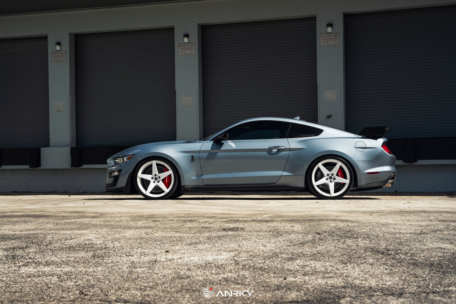 Ford Shelby GT500 – RETROSeries RS5.1