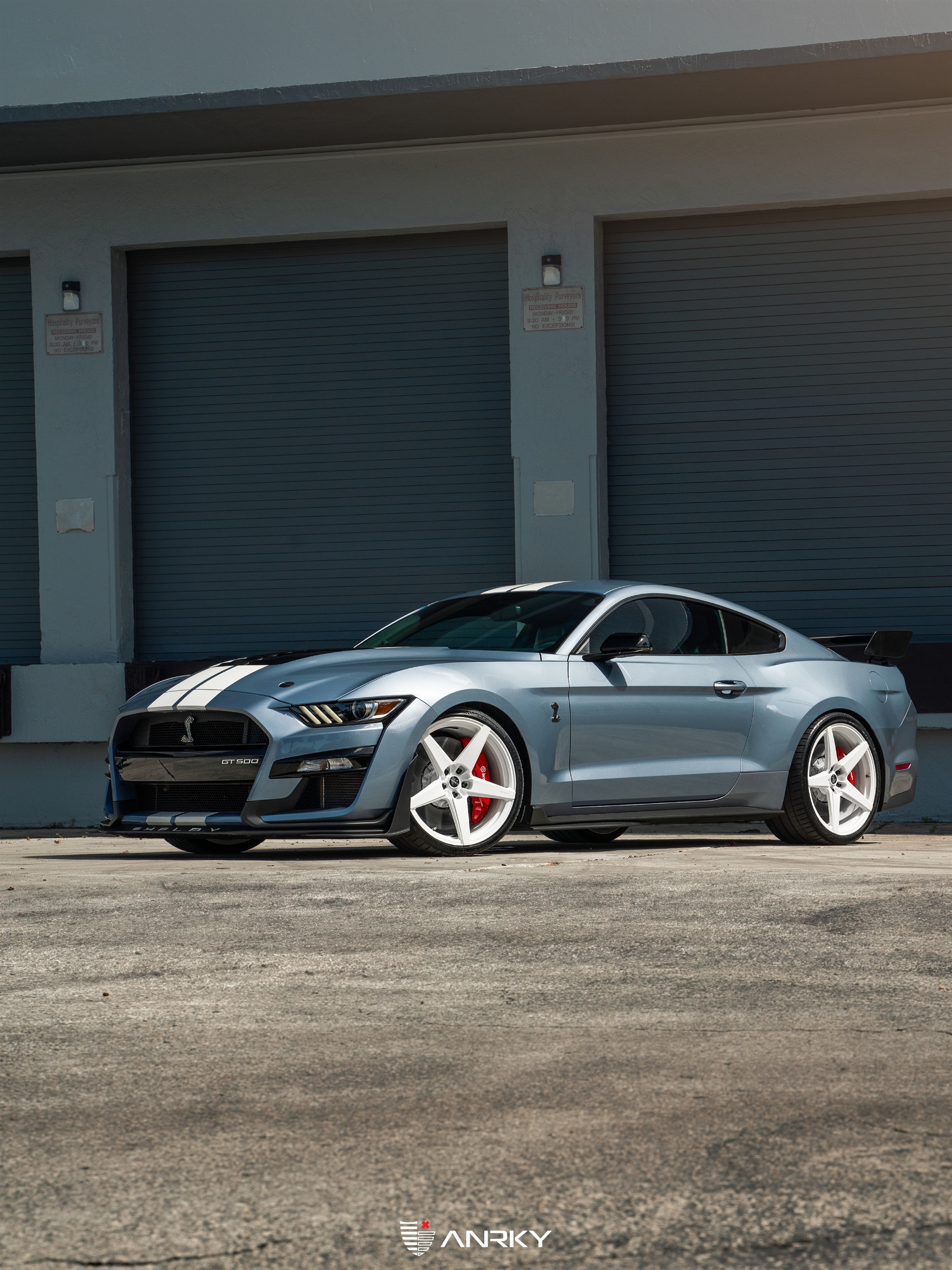 Ford Shelby GT500 – RETROSeries RS5.1