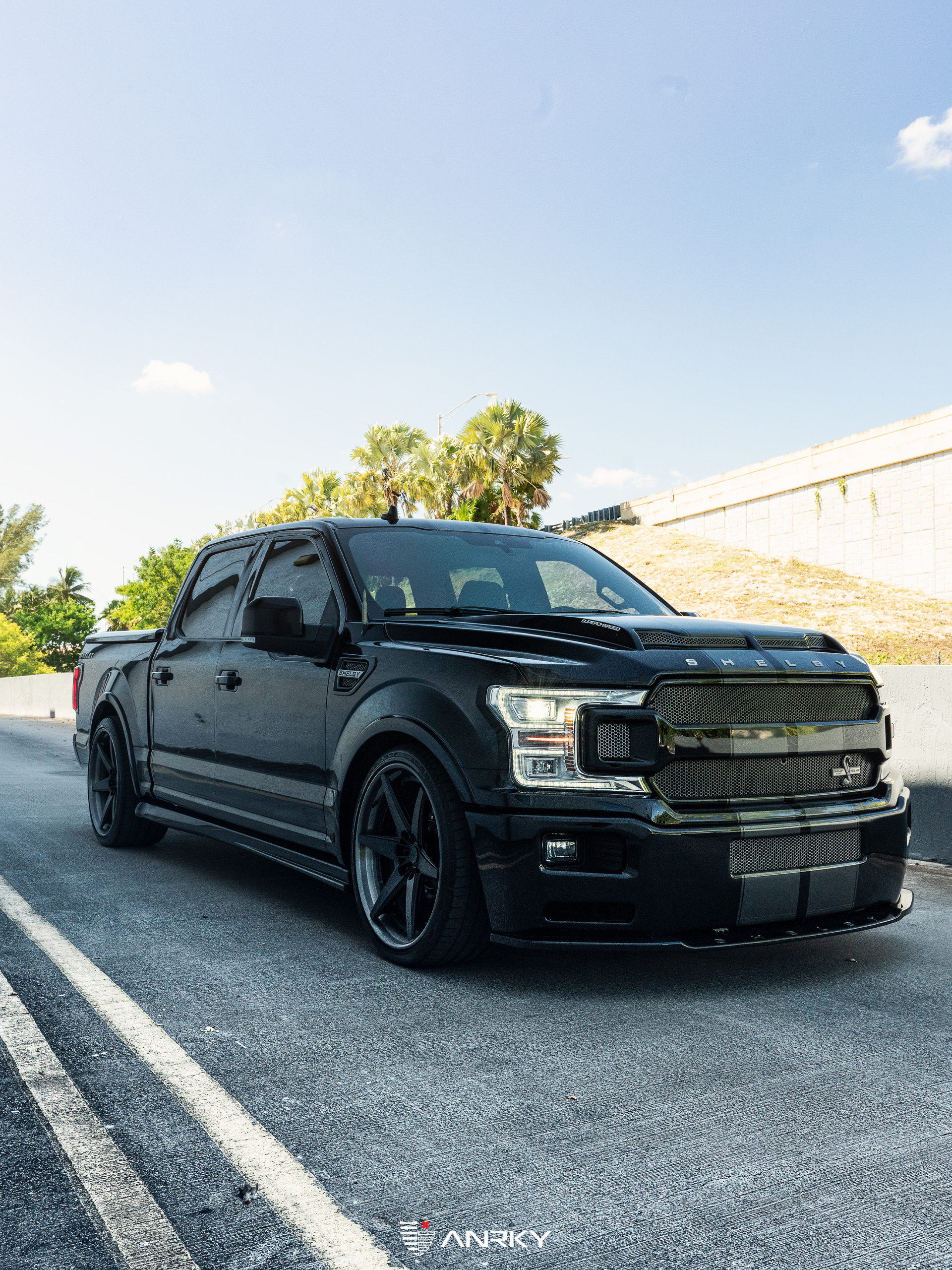 Shelby Ford F150 Super Snake | Agate Black | on ANRKY RS6.3 | Satin Black