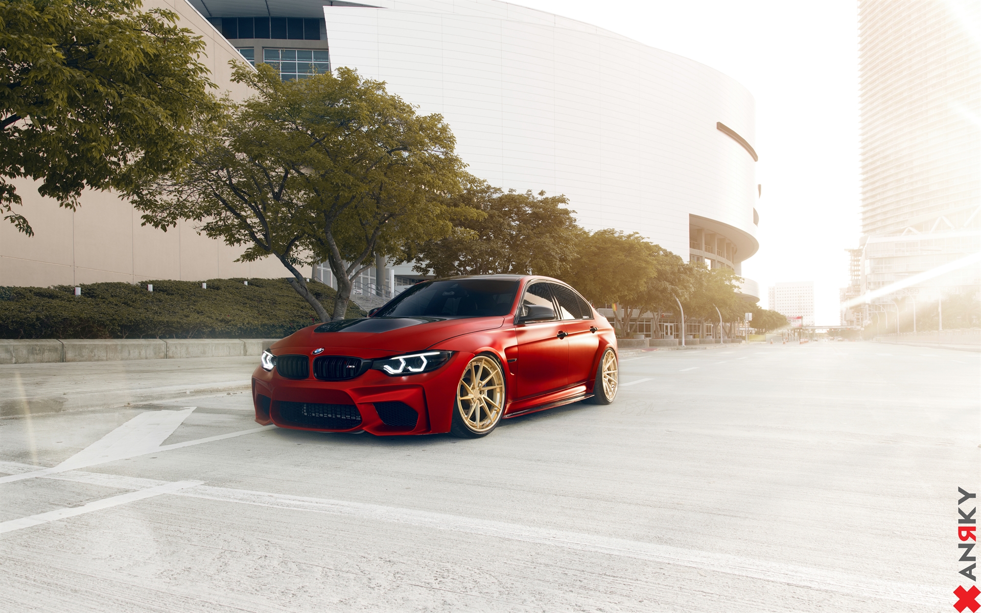 ANRKY AN33 | BMW F80 M3