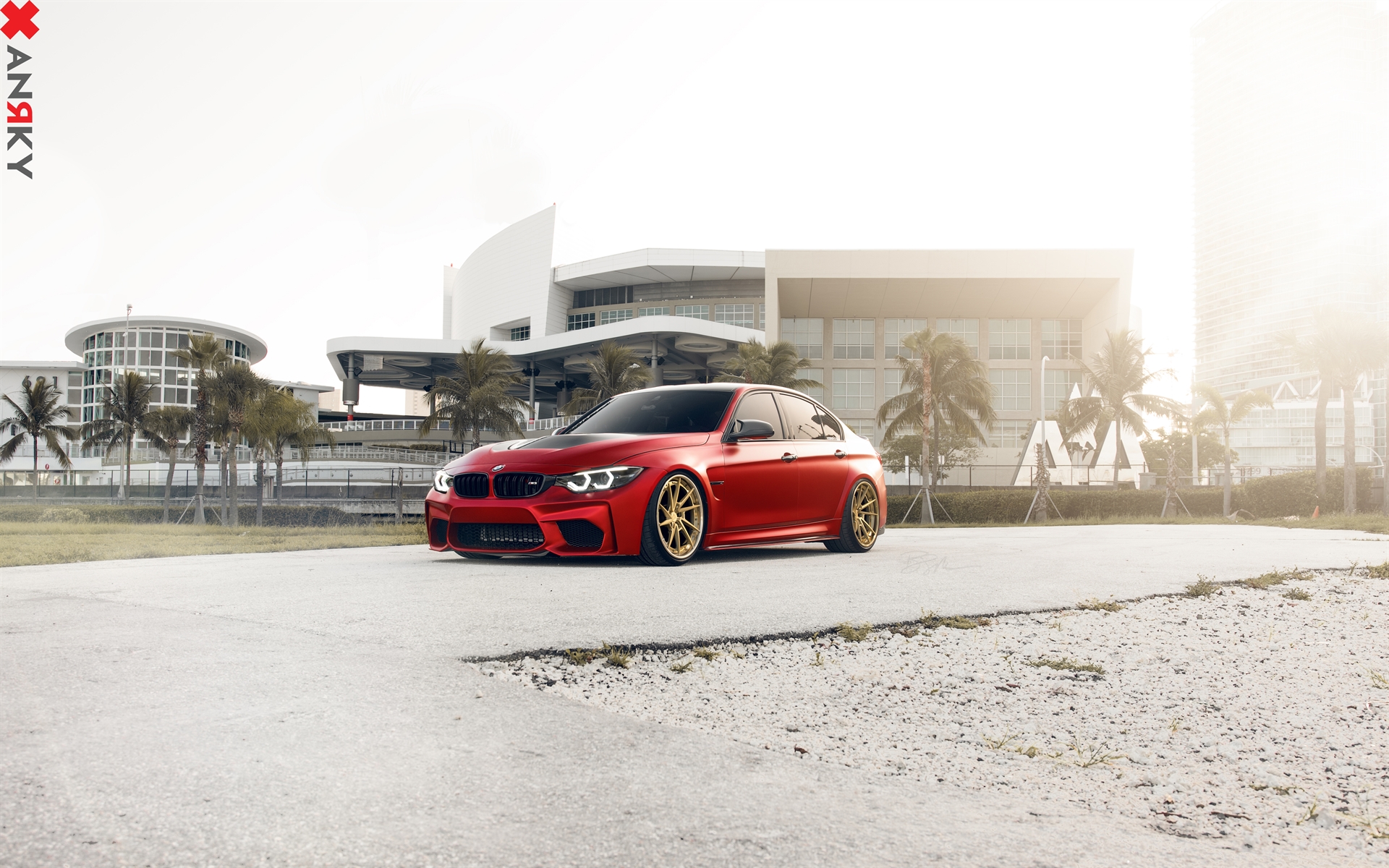 ANRKY AN33 | BMW F80 M3