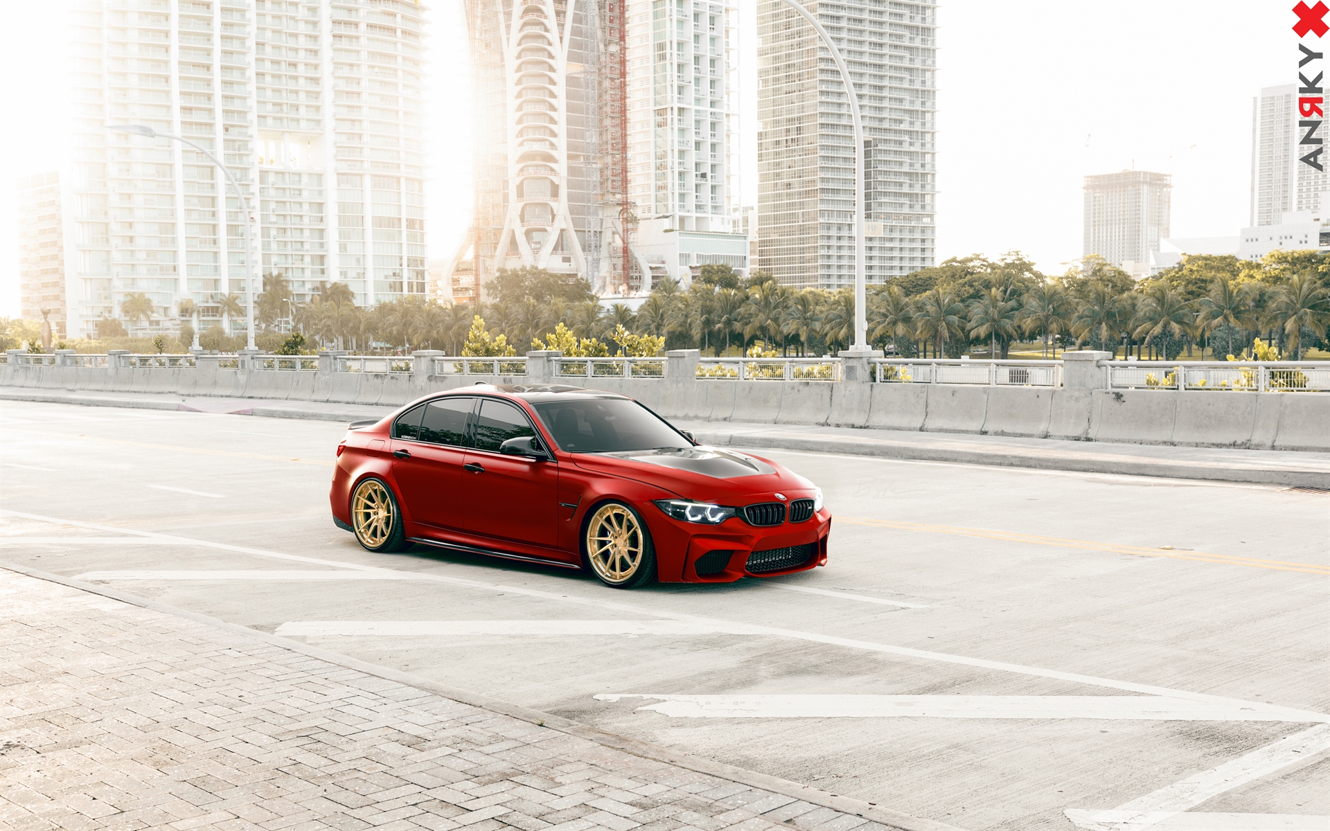 ANRKY AN33 | BMW F80 M3