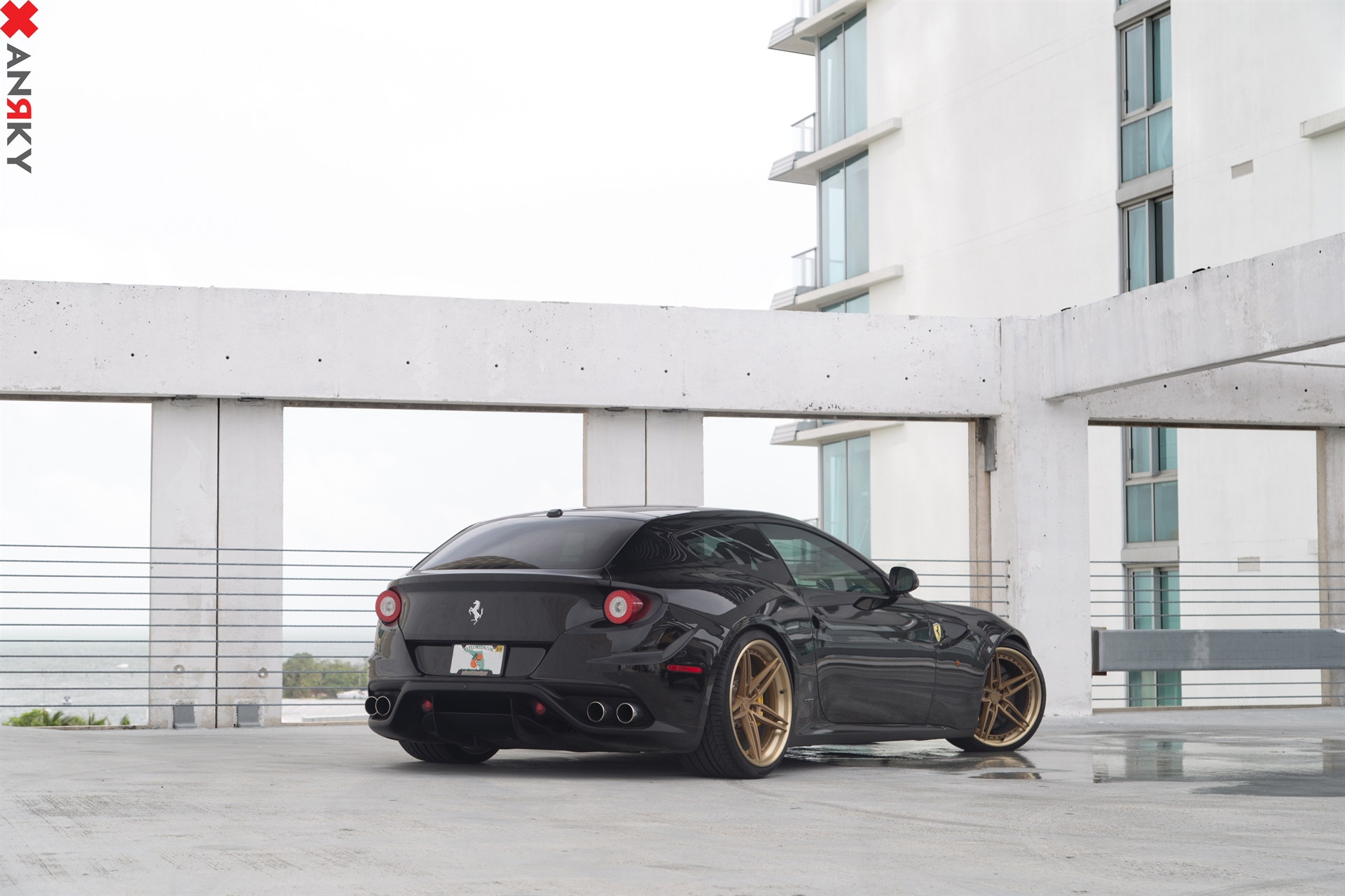 ANRKY AN37 | Ferrari FF