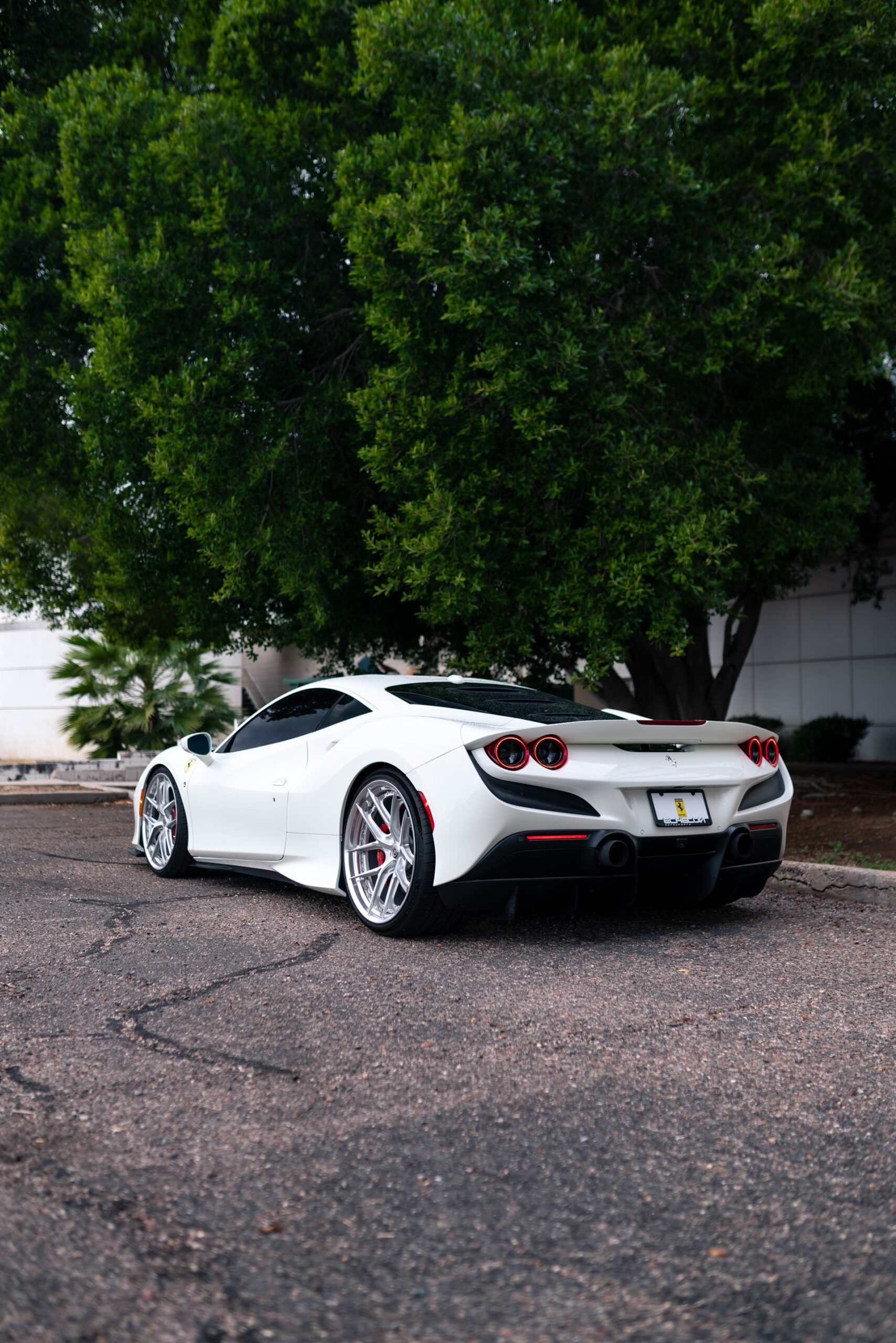 HRE S101SC | Ferrari F8 Tributo 1