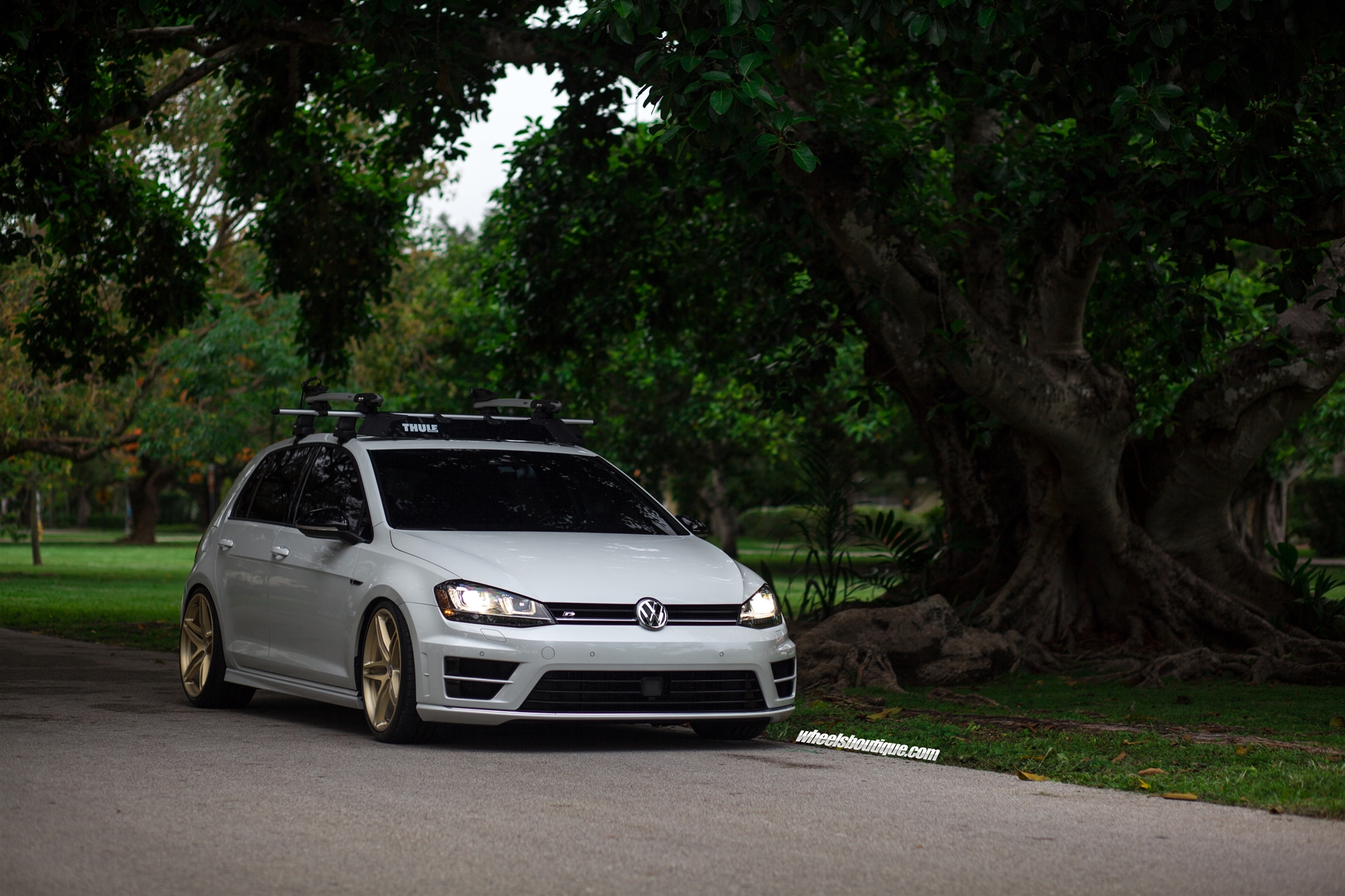 HRE P107 | VW Golf R