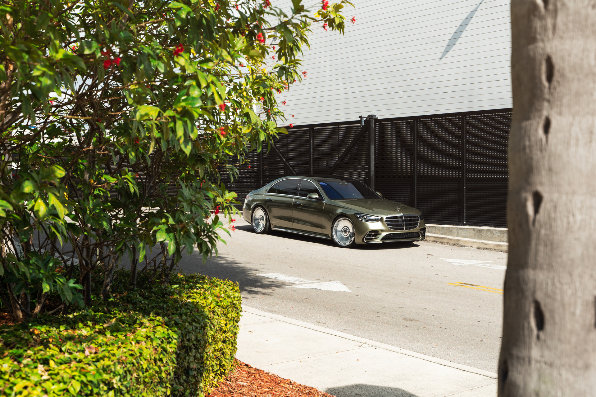Merecedes Benz W223 S580 | on Avant Garde  AGL93 | Polished Clear