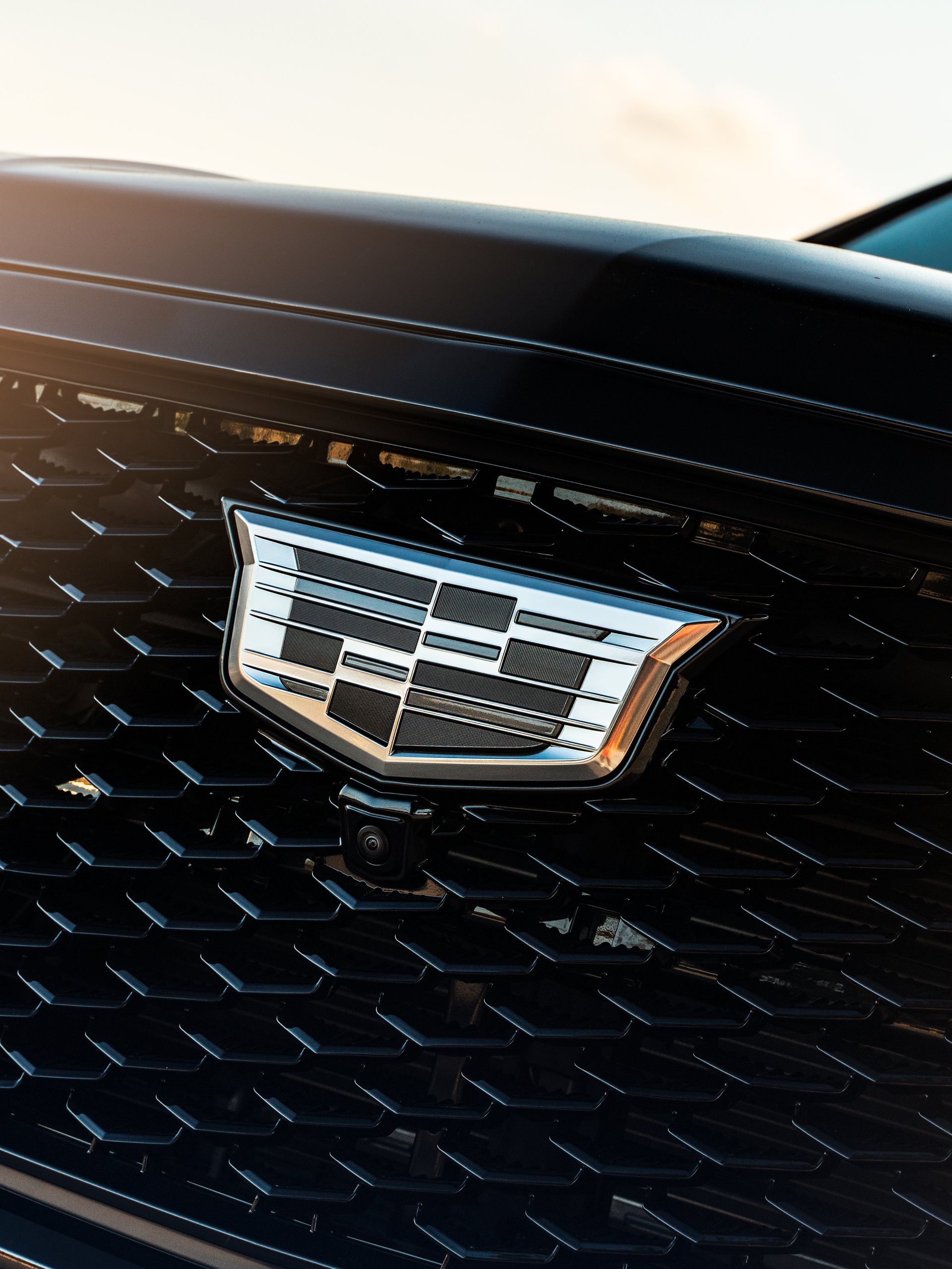 Cadillac Escalade | Black Raven | on 1886 G007 | Gloss Black